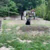 wesleywoods731